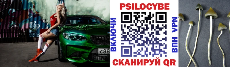 Купить  Калязин  Псилоцибиновые грибы мицелий 