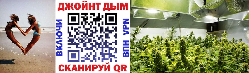 Купить где Калязин Шишки марихуана Ganja